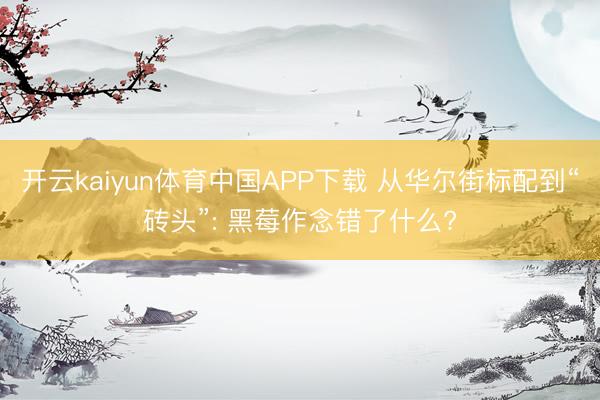 开云kaiyun体育中国APP下载 从华尔街标配到“砖头”: 黑莓作念错了什么?