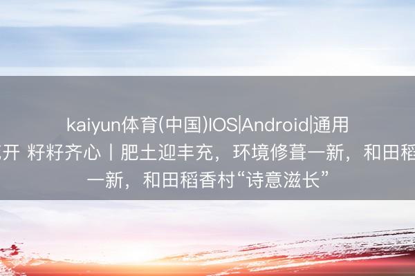 kaiyun体育(中国)IOS|Android|通用APP下载 石榴花开 籽籽齐心丨肥土迎丰充,环境修葺一新,和田稻香村“诗意滋长”