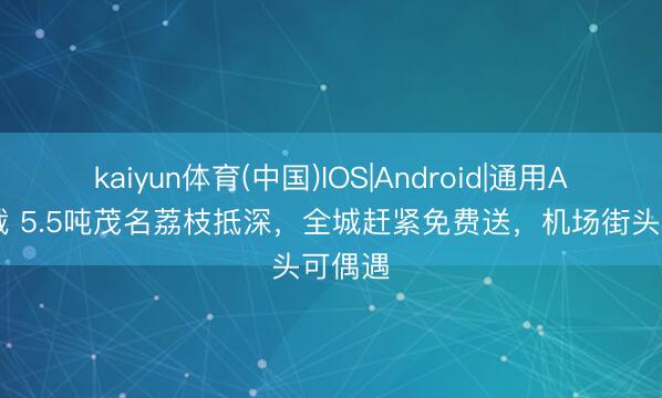 kaiyun体育(中国)IOS|Android|通用APP下载 5.5吨茂名荔枝抵深，全城赶紧免费送，机场街头可偶遇