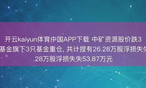开云kaiyun体育中国APP下载 中矿资源股价跌3.06%， 长安基金旗下3只基金重仓， 共计捏有26.28万股浮损失失53.87万元