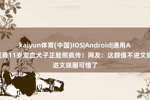 kaiyun体育(中国)IOS|Android|通用APP下载 戚薇11岁混血犬子正脸照疯传！网友：这颜值不进文娱圈可惜了